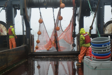 ManagingTrawlingImpact_image3.png.png
