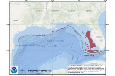 map-coral-EFH-GoMex-SERO.jpg