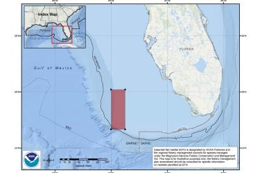 map-pulley-ridge-EFH-HAPC-GoMex-SERO.jpg