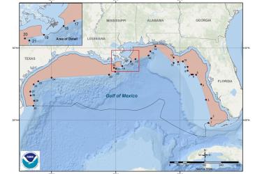 map_longline_buoy_gear_GOMx_SERO.jpg