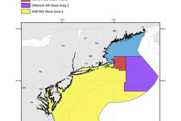 NE-Multispecies-Broad-Stock-Areas-MAP-NOAA-GARFO.jpg