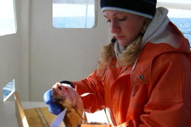 Katie Burchard doing field work.