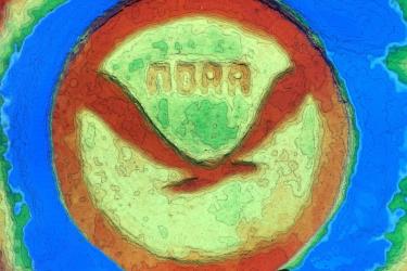 Bathymetry version of the NOAA logo.