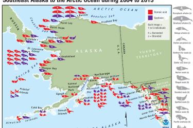 Map of algal toxins detected in 13 species of marine mammals from Southeast Alaska to the Artic Ocean during 2004 to 2013