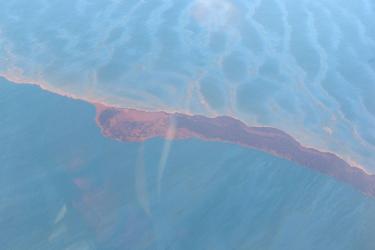 Image from May 25, approximately 12 miles east of Pass a Loutre, Louisiana, showing dark brown and red emulsion. Credit: NOAA