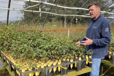 OR Corps C Sutherland plants nursery 3024x2016.png