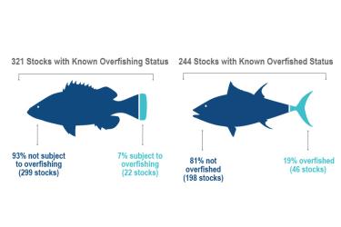 Overfishing-Overfished-infographic-750x500.jpg