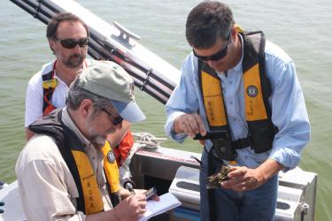 oyster interview.jpg