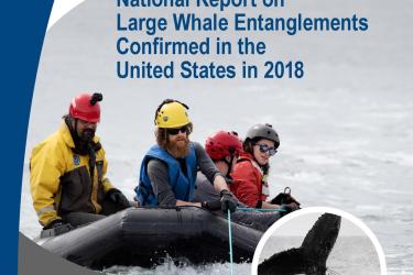 cover for 2018-Large-Whale-Entanglement-Report-webready-508.jpg
