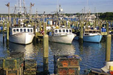 point-judith-port.jpg