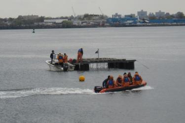 Mussell raft, with zodiac filled with people heading towards it.
