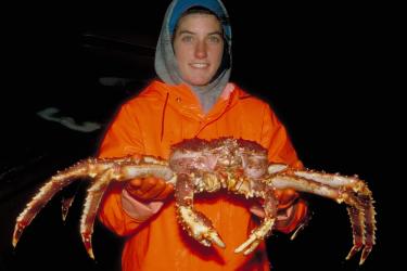 redkingcrab.jpg