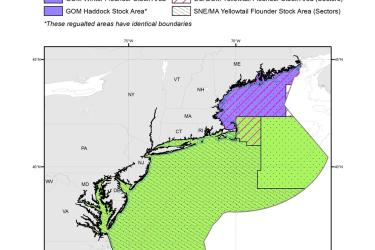 Sector-Stock-Areas-MAP-NOAA-GARFO.jpg