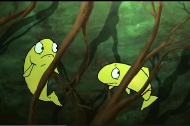 ShallowWaterAnimation - Places to hide.jpg