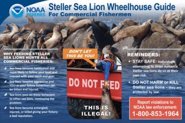 SSL-Deterrence-Wheelhouse-Flier_webthumb2.jpg