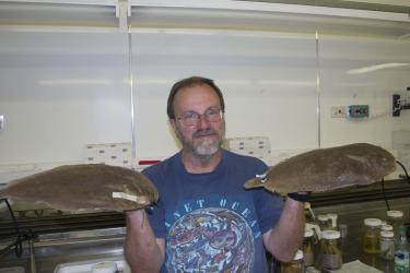 Tom Munroe with Peltorhamphus novaezeelandiae Photo Credit C. Struthers.jpg