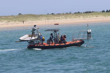 Turtle capture from small zodiac, scientist with net in bowsprit. 