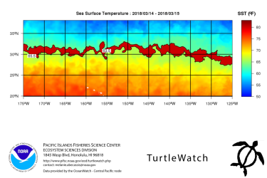 turtlewatch.png