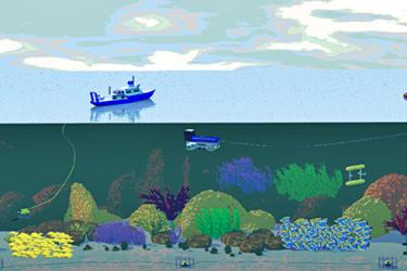 Untrawlable_Habitat-fig2.jpg
