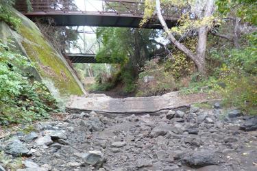 Rocky, dry riverbed