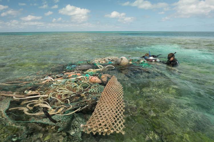 Derelict Fishing Net Movement in the Northwestern Hawaiian Islands
