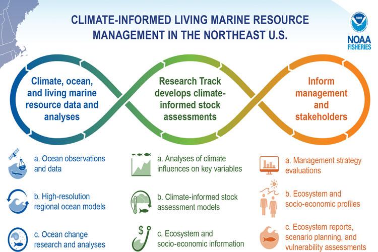 this graphic shows the process of informing living marine resource management and stakeholders with climate information in the U.S. northeast continental shelf