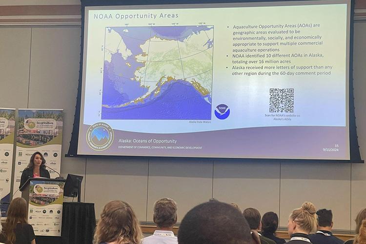 State of Alaska Commissioner of Commerce, Community, and Economic Development Julie Sande presents to a crowd.