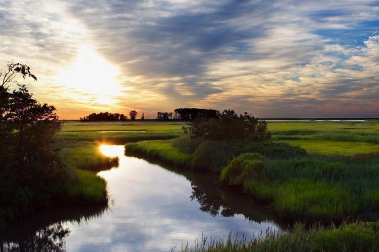 A serene landscape featuring a reflective river surrounded by lush green wetland grass, framed by trees under a colorful sunset sky.