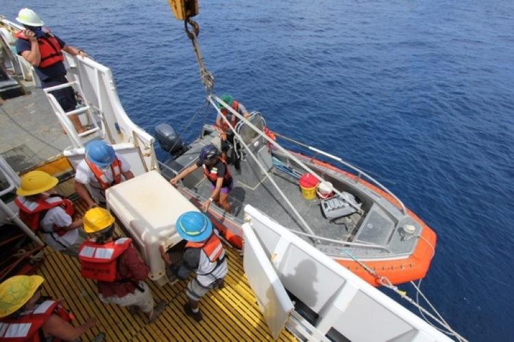 Research vessel transporting monk seals in need of rehabilitation.
