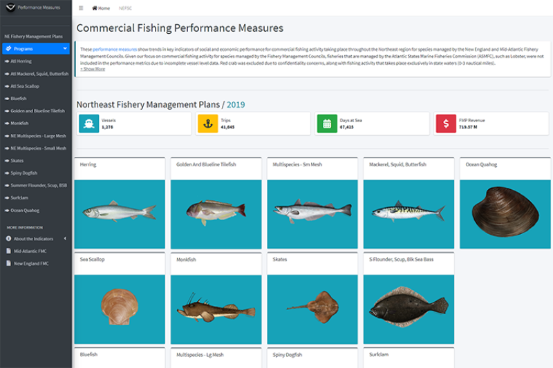 landing page for northeast commercial fishing performance measures. Text with images of fish, organized by fishery management plan