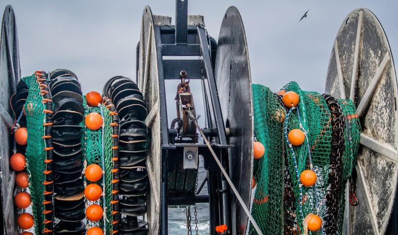 These gear efficiency studies used a twin trawl vessel that conducted simultaneously side-by-side tows using two identical nets with different sweeps; a rockhopper (depicted on the left) and a chain (depicted on the right) to estimate relative catch efficiency.