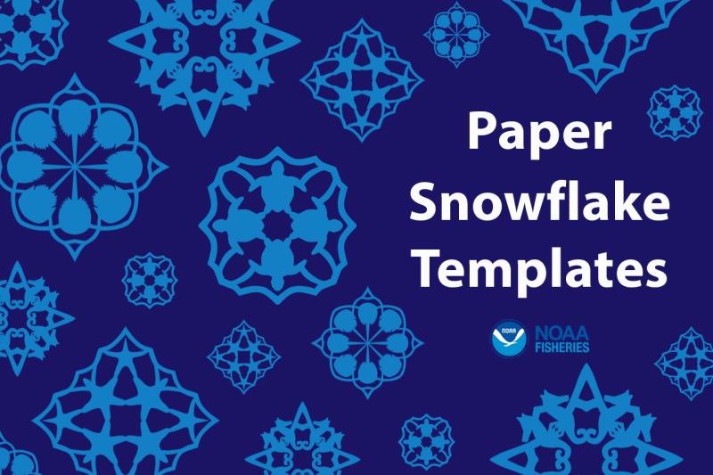 Graphic of four Woods Hole Science Aquarium snowflake templates
