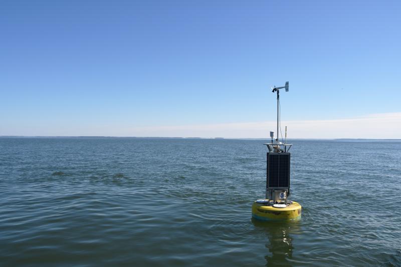 The yellow NOAA CBIBS buoy floats in calm waters at Gooses Reef, Maryland.
