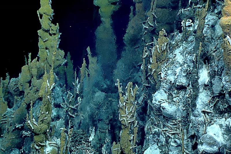 Underwater hydrothermal-vent chimney