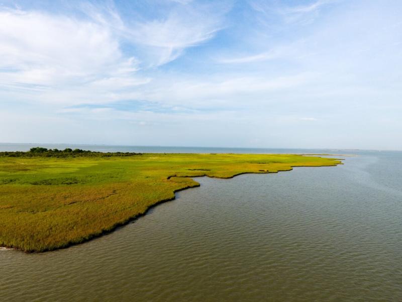 How to Fish Marshes and Creeks