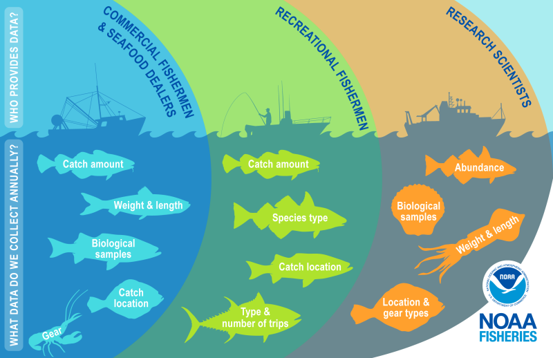 Fishery Stock Assessments In New England and the Mid Atlantic NOAA Fisheries