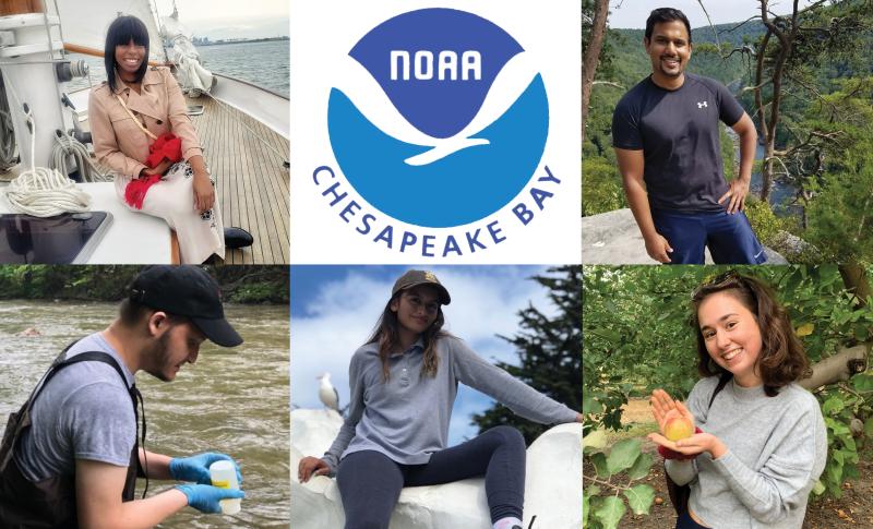 A collage of portraits of NOAA Chesapeake Bay Office 2021 interns