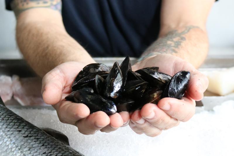 Man holding mussels in hand