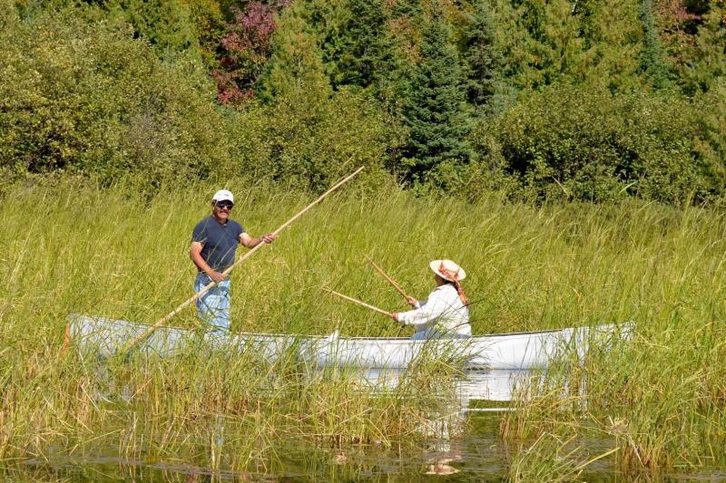 Ojibwe community members canoeing through an area of wild rice in the St. Louis River Estuary