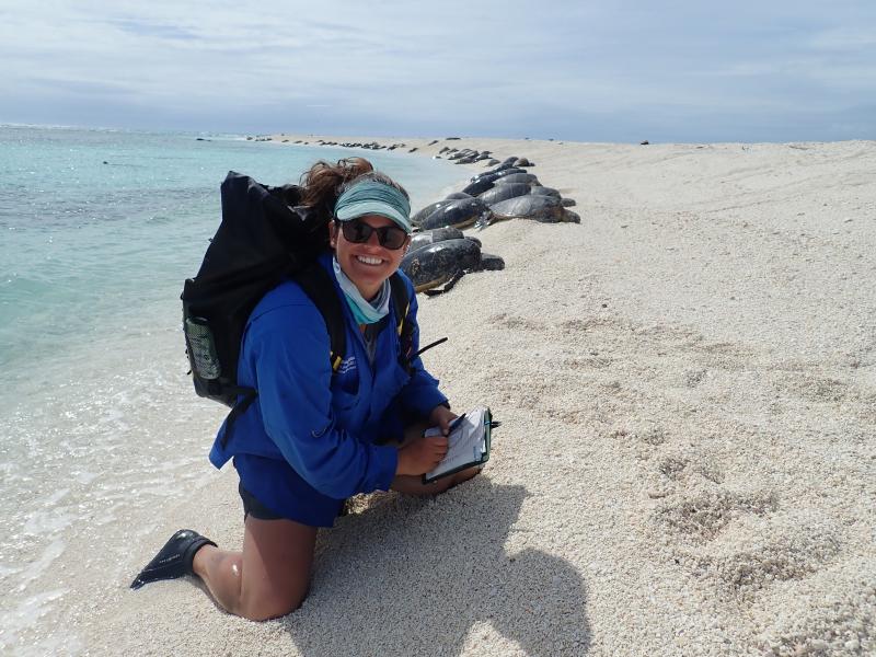 Marylou Staman conducts green sea turtle surveys at Lalo (French Frigate Shoals).  Credit:  NOAA Fisheries.