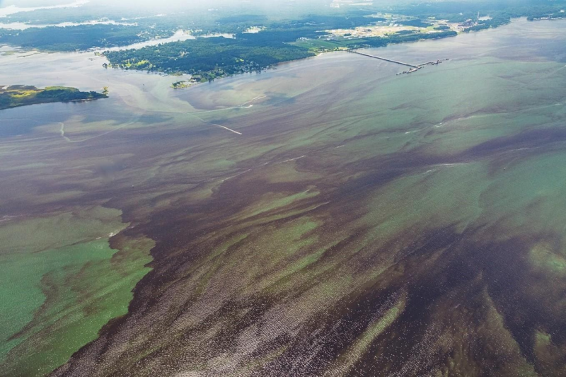 Aerial view of HAB on York River in August, 2021. 