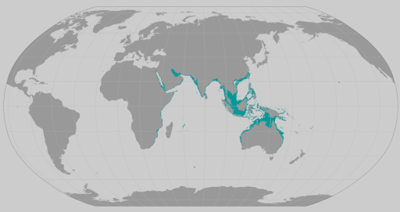 Green sawfish range map