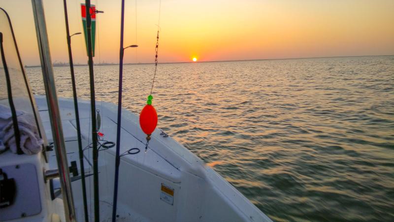 Recreational Fishing image