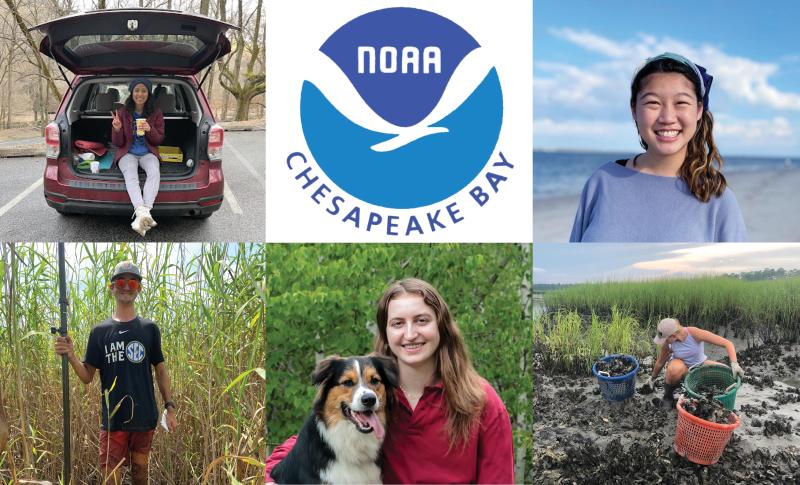 Collage including photos of five college students