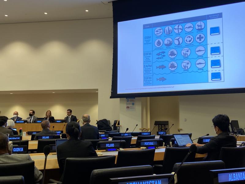 Presentation on ecosystems indicators at UN meeting
