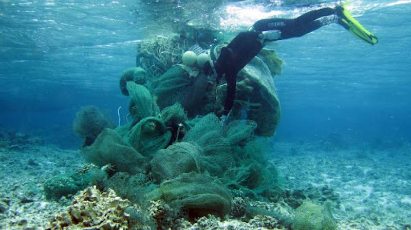 A diver assesses a large net before developing a plan for removal