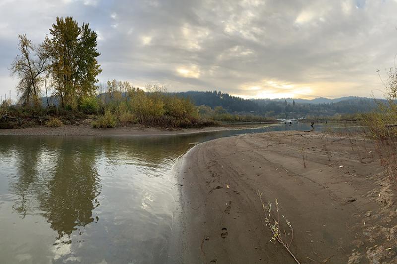 Creek flows between vegetated stream banks