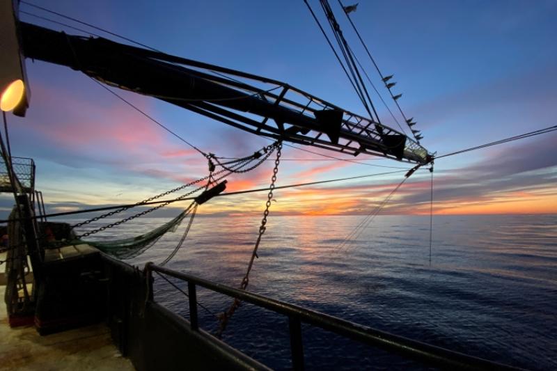 Shrimp trawl during sunset