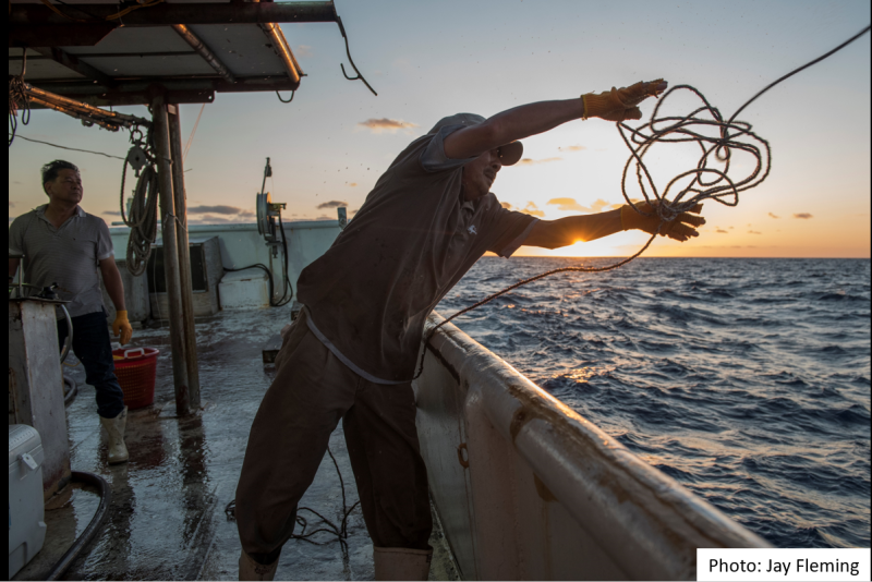 Gulf of Mexico Fishermen Reflect on Efforts to Restore Oceanic