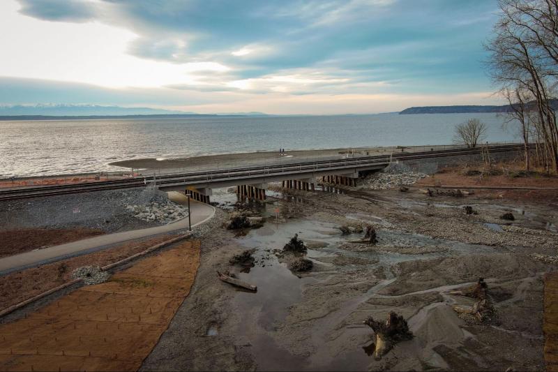 A railroad bridge runs parallel to the shore, with estuary habitat in the foreground and open water in the background